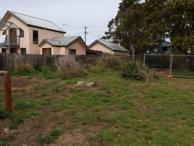  Bayview Park Vegetation Spot
