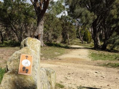 Charles Darwin Trail at Waverley Flora Park