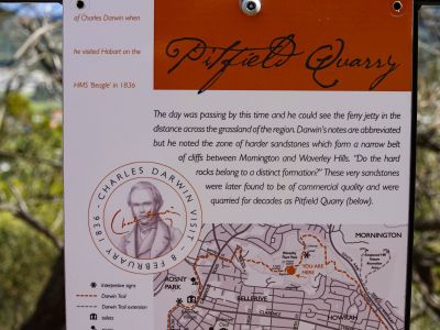 Pitfield Quarry at Waverley Flora Park